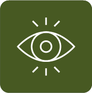vision u@2x
